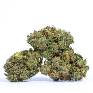 What is Cannabis Flower aka Marijuana Buds
