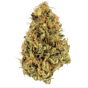 Durban Poison - Premium