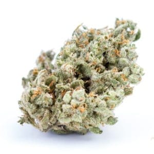 Jack Herer - Premium